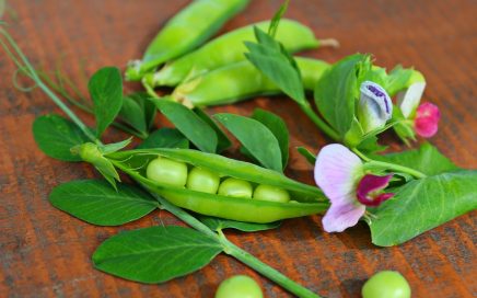 Snap Peas with Pesto and Pine Nuts –serves 4-6