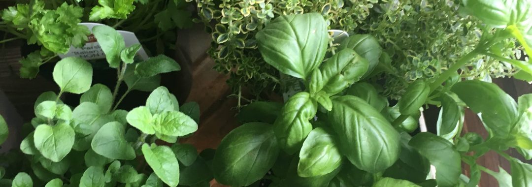 Garden Herb Blend- dried herbs