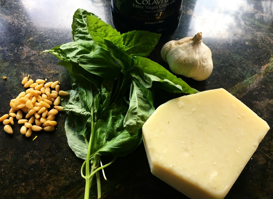 Nettle Pesto Recipe - by Susan @ Chrysalis Herbs