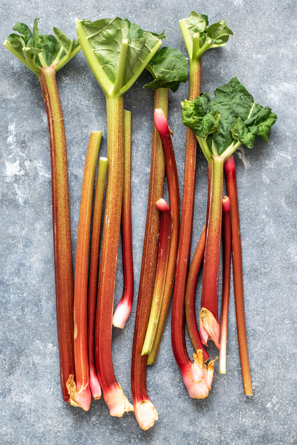 Rhubarb Oatmeal Bars - Chrysalis Herbs