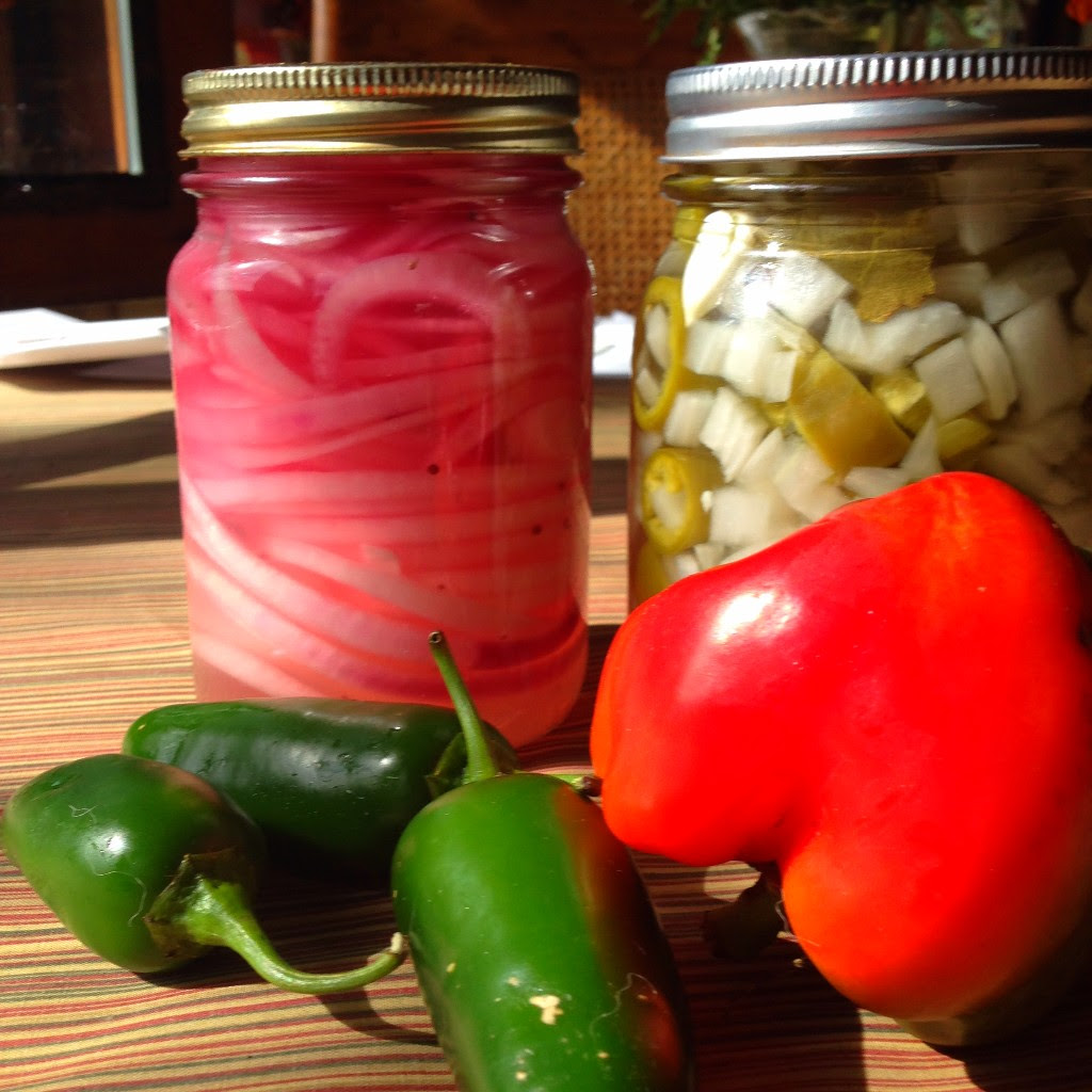 Quick Refrigerator Pickles - Chrysalis Herbs