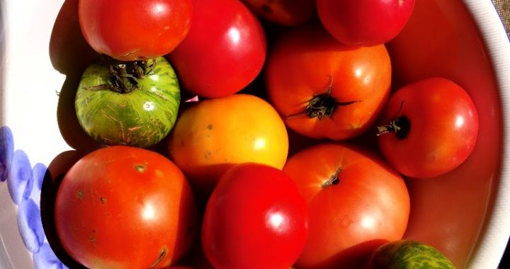 Slow Roasted Tomatoes