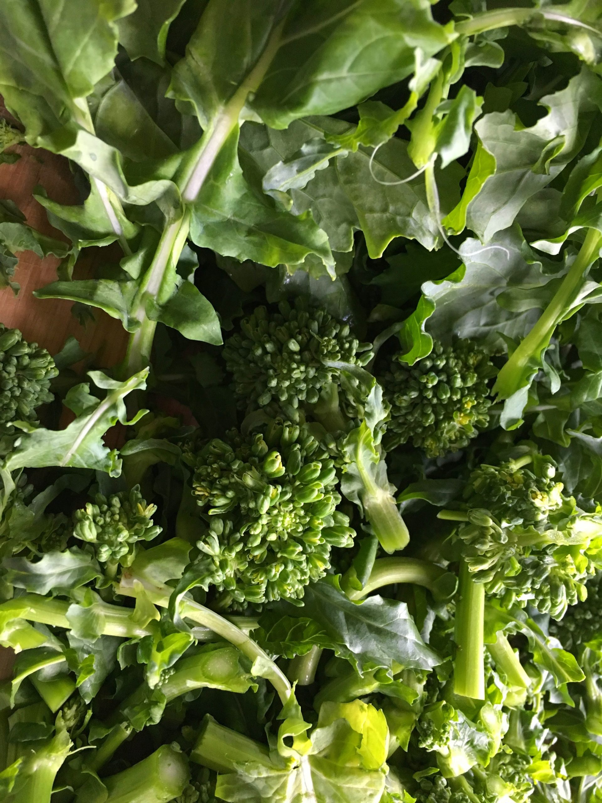 Kale Waldorf Salad - Chrysalis Herbs