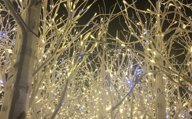 november-december-23