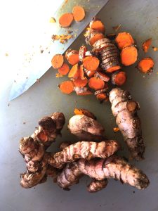 Turmeric - Curcuma longa