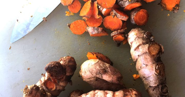 Turmeric - Curcuma longa